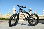 Factory Stock New Model 7 Speed Aluminium Alloy Bicycle Frame Fat Tyre Bicycle for Men 26 Inch