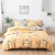 Import Factory Supply 4pcs Home Print Children Baby Adult Bedding Set 100% Cotton Luxury from China