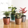 Factory Supply Gardening Plastic Plant Pots Home Indoor Office Decorative Pots For Plants OEM Plants Pot Plastic