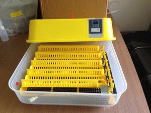 family use best price poultry chicken brooder broiler eggs for hatching