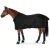 Import Fleece Stable and Mesh Horse Exercise Sheet Combo-Equine Fleece Horse Rug Cooler Stable-Horse Equestrian Product from Pakistan