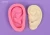Import fondant chocolate ear mould,silicone gum paste ear mold,fondant cake stencil fondant cake tools from China