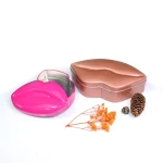 Food Grade Color Luxury Small Irregularly Tins Airtight Coffee Candy Chocolate Packaging Novelty Gifts Lip Metal Cans Canister