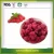 Import Freeze Dried Fruits Bulk Blackcurrant Raspberry Strawberry And Blueberry Wholesale Dried Berries from China