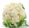 Fresh Cauliflower , Pakistan green vegetable exporter , Fresh Bulk cauliflower