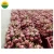 Import FRESH DRAGON FRUIT FROM AGRICULTURE VIET NAM from Vietnam