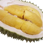 fresh durian