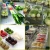 Import Fresh Fruit And Vegetable Servo Driven Automatic Packaging Machine from China