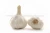 Import Fresh Garlic from India