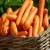 Import Fresh new crop fresh carrot 10kg carton packing for sale from Philippines
