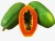 Import Fresh Papaya from South Africa