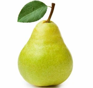 Fresh Pear . Bulk Pear , Green fresh Pear