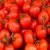 Import fresh tomato high quality (A) from China