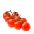 Import Fresh tomatoes /plum / cherry from Vietnam