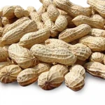 FROZEN PEANUT STEAMED
