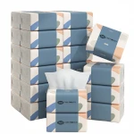 FSC Certified Customized Packing Disposable Embossed Facial Paper Handkerchief Tissue
