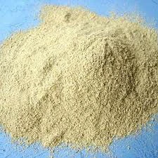 Fucoidan Extract Powder