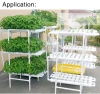 Full Automated Greenhouse Structure with Hydroponic System Irrigation for Greenhouse