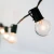 Import G40 Incandescent Bulb 120V 5W Glass Body American Standard in Superior Quality and Competitive Price from China