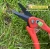 Import Gardening Hand Accessories Tools And Equipment Cordless Pruner Pruning Shears Sharp Cutter Pruners Scissor from China