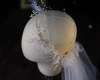 Garland Veil Wedding Dress Accessories Photo Studio Location Photo Headdress