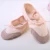Import Girls Adult Ballet Dance Shoes / professional ballet shoes / Canvas Ballet Shoes from China