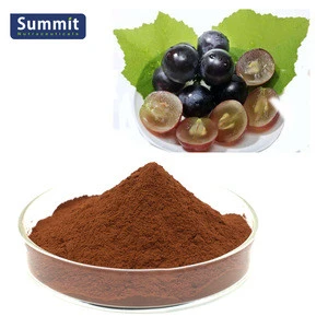 GMP Factory Supply Grape Seed Extract 95% opc