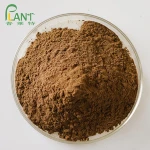 GMP Manufacturer Supply cordyceps mushroom extract