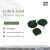 Import Good Quality Cobra Natural Unique Green Dried Cobra Leaf For Home Wedding Decor Leaves from China