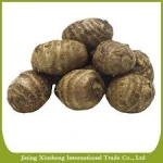 Grade A Fresh Taro Quality Taro/Coco yams,/cocoyams/FRESH TARO 40G/60G/80G/100G