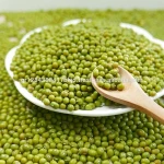 Grade Vigna Beans +Moth vigna Beans