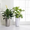 Gray /black/ coffee Flowers Pot Set of  Resin Artificial Plastic Indoor and outdoor Flower Pots