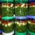 Import Green Peppercorn In Brine, new crop 2019 with best price from Vietnam