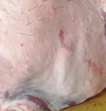 Halal Frozen Camel Meat