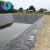 Import Hdpe black blue rolls smooth geomembrane 1.5mm thick liner for pond from China