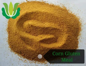 high protein chicken feed yellow wheat for animal feed bran corn gluten meal