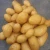 Import High quality 100% Organic fresh Potatoes from Holland !!!! from United Kingdom