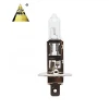 High Quality Auto Halogen Bulb H1 12V 35W 55W With CE of Halogen Lamp yellow color