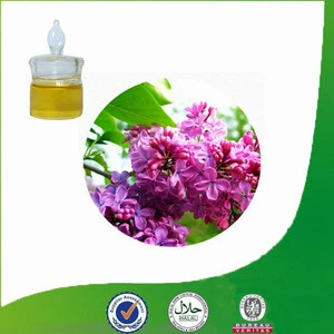 High Quality Eugenol Oil for Perfume Oil Manufacturing