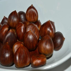 High Quality Fresh Style Turkish Chestnut