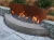 Import High quality metal fireplace accessories/corten steel fireplace outdoor from China