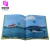 Import High Quality Saddle Stitching Softcover Book Brochure Catalogue Magazine Full Color Printing, Unique Picture Book with Stickers from China