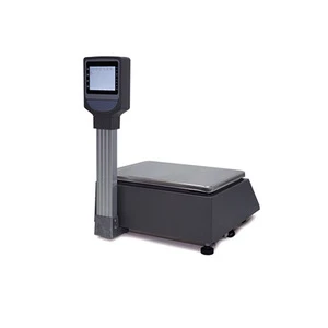 High Storage Capacity 10000 Plus Pos Scale With Led Barcode Scale Built In Label 58 Printer Hs-Bs16