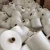 Import High tenacity 100% spun polyester sewing threads with raw white color from China