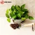 Import HOLSEN Stainless steel ash wood handle small trowel garden tools from China