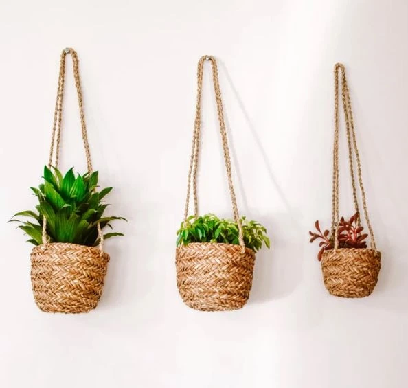 Home appliances Seagrass Plant Basket Hanging Set Handmade