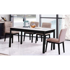 Home furniture table and chairs for dining room