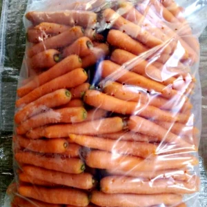 Hot Sale 2020 China New Crop Fresh Carrot in Good Taste