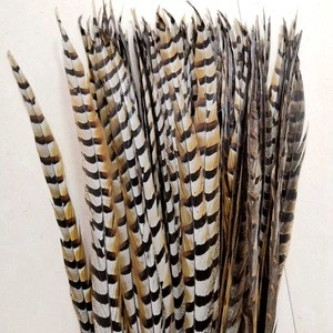Hot sale Carnival Feather 90-100cm Reeves Pheasant Tail Feathers