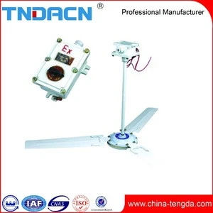 Hot Sale China Supplier Explosion Proof Ceiling Fan Installation Decorative Cooling Fans